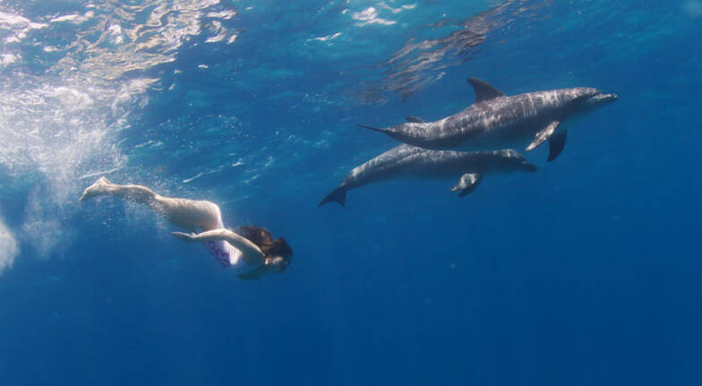 BFFD8E77-DB63-4BA3-8C53-3C475285F06E