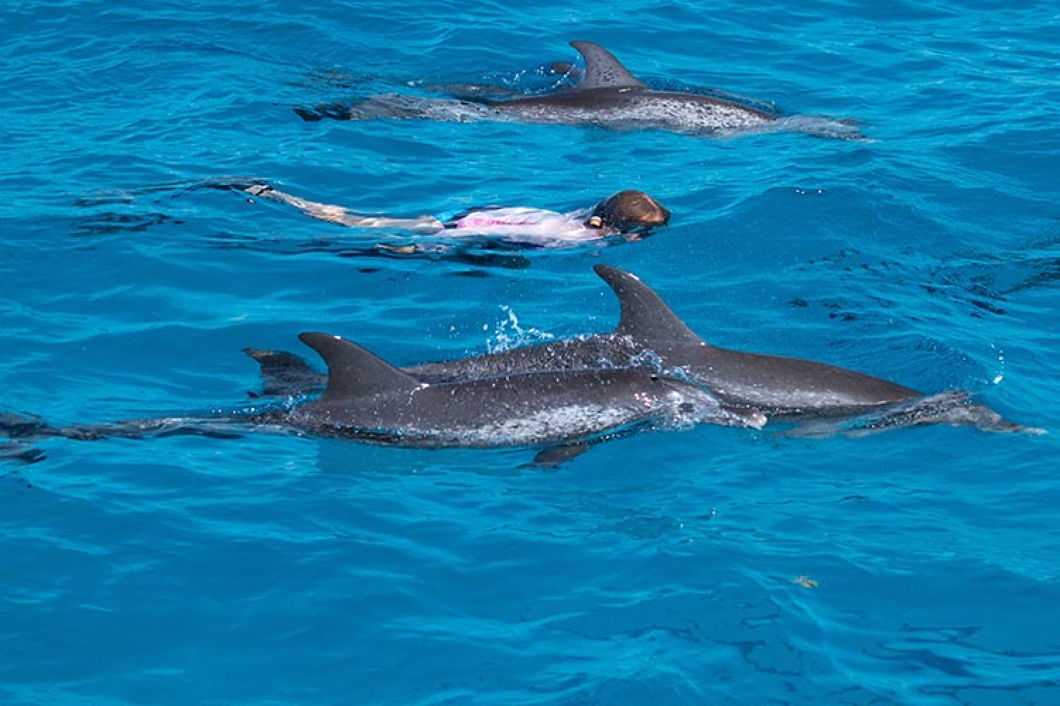 C72C374A-D7E3-47CA-AEDE-285DAF17B81D