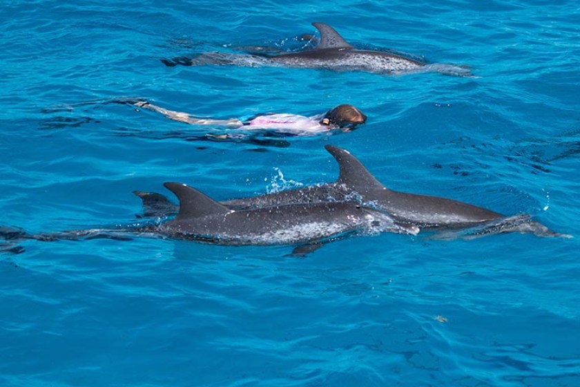 C72C374A-D7E3-47CA-AEDE-285DAF17B81D