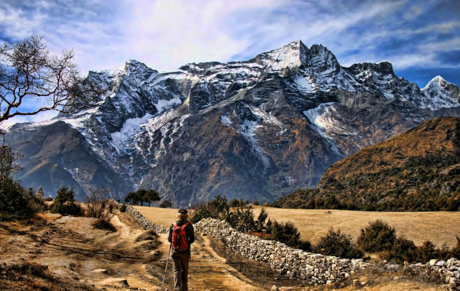 Screen Shot 2019-07-31 at 10.14.39 am