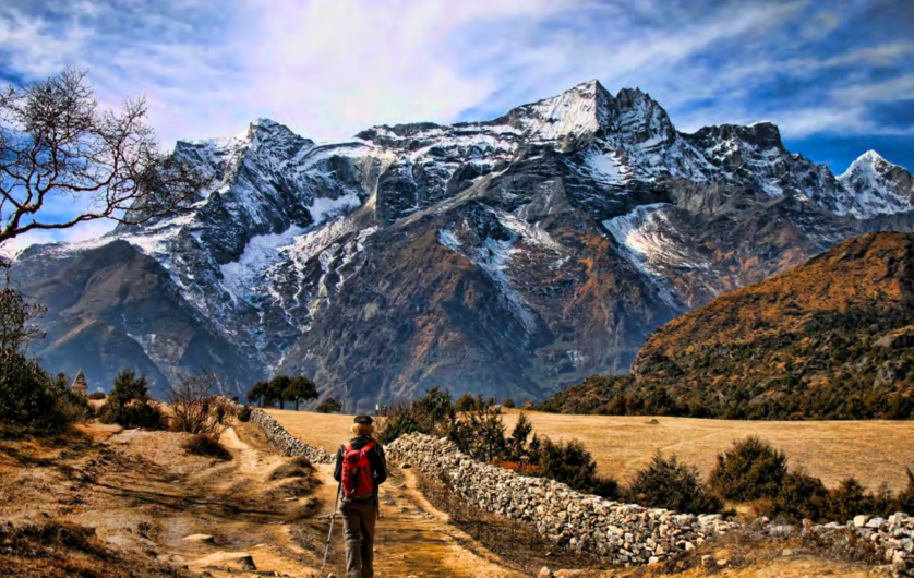 Screen Shot 2019-07-31 at 10.14.39 am